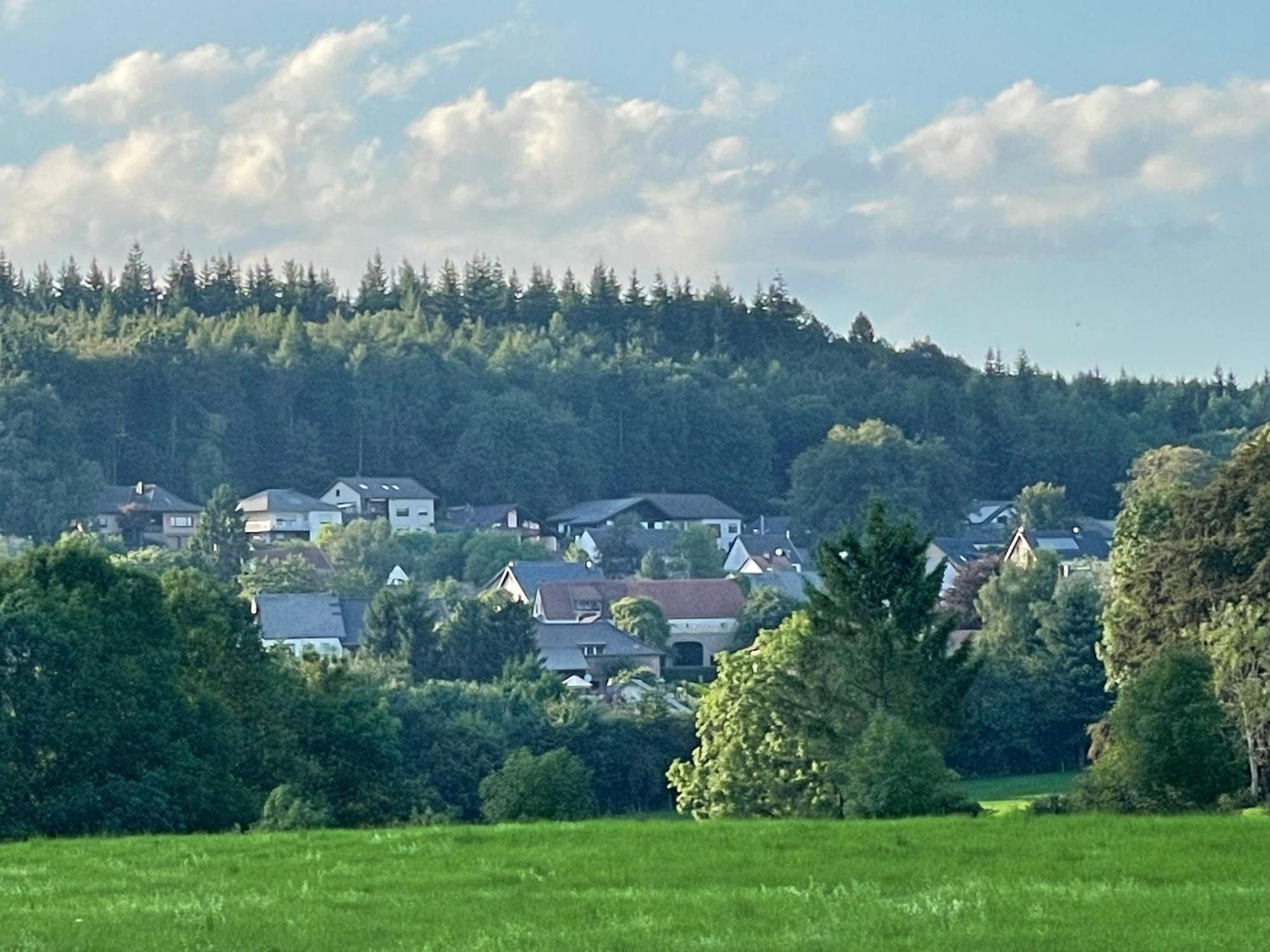 Ferienhaus Eifelblick Feusdorf Esterno foto